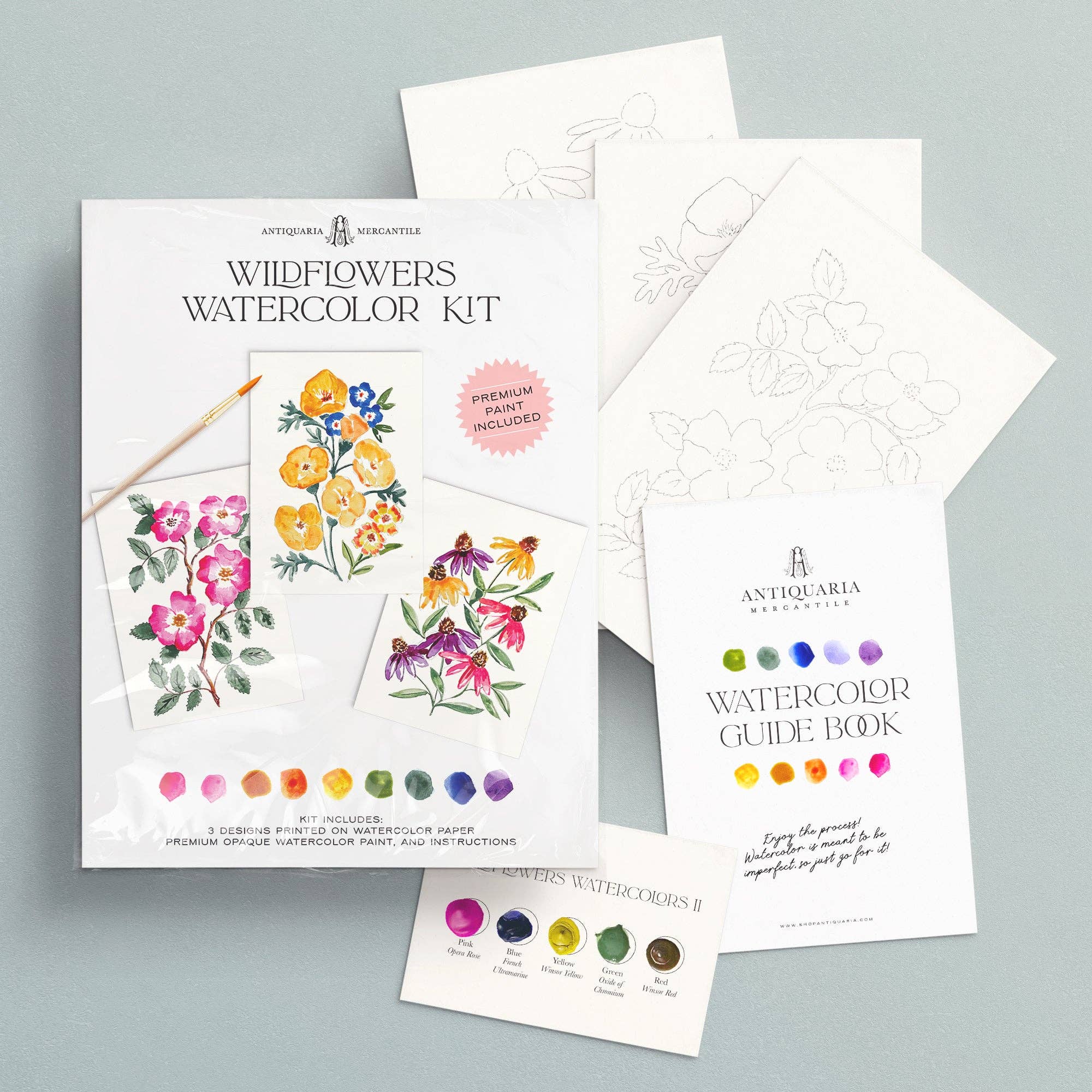 Watercolor Painting Kit : Wildflowers No1 - Foxy’s
