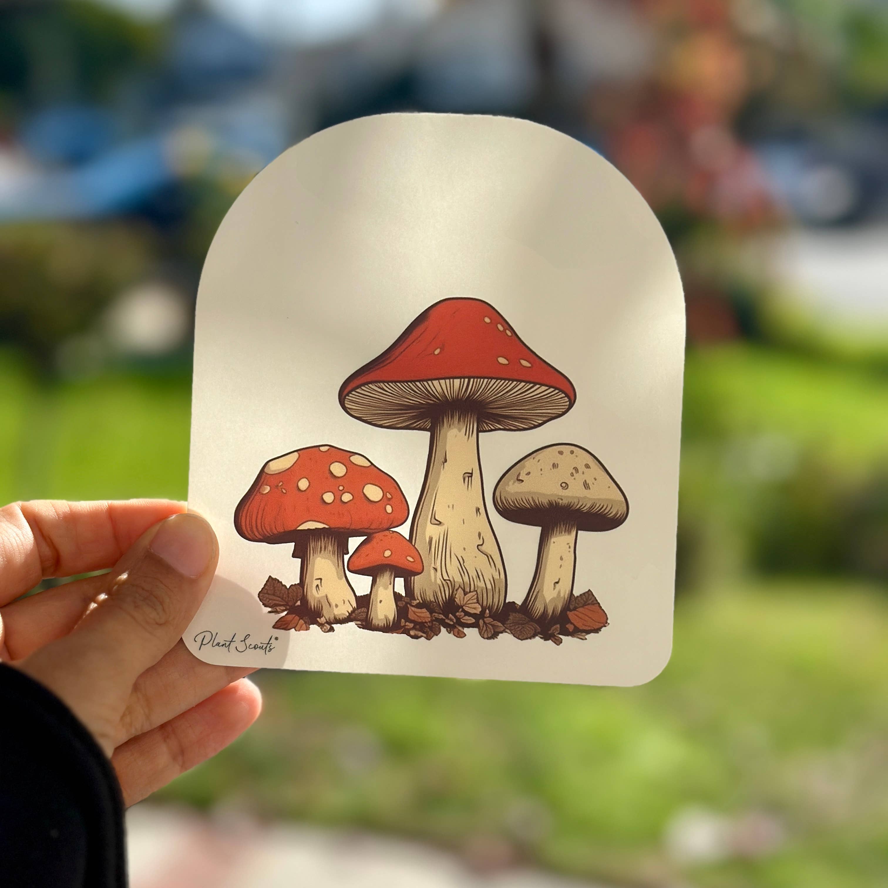 Mushroom Suncatcher Amanita Toadstool Decal Cottagecore - Foxy’s