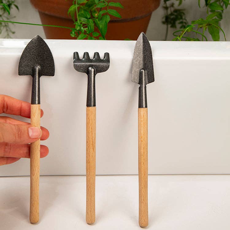 Mini Indoor Garden Tool Set