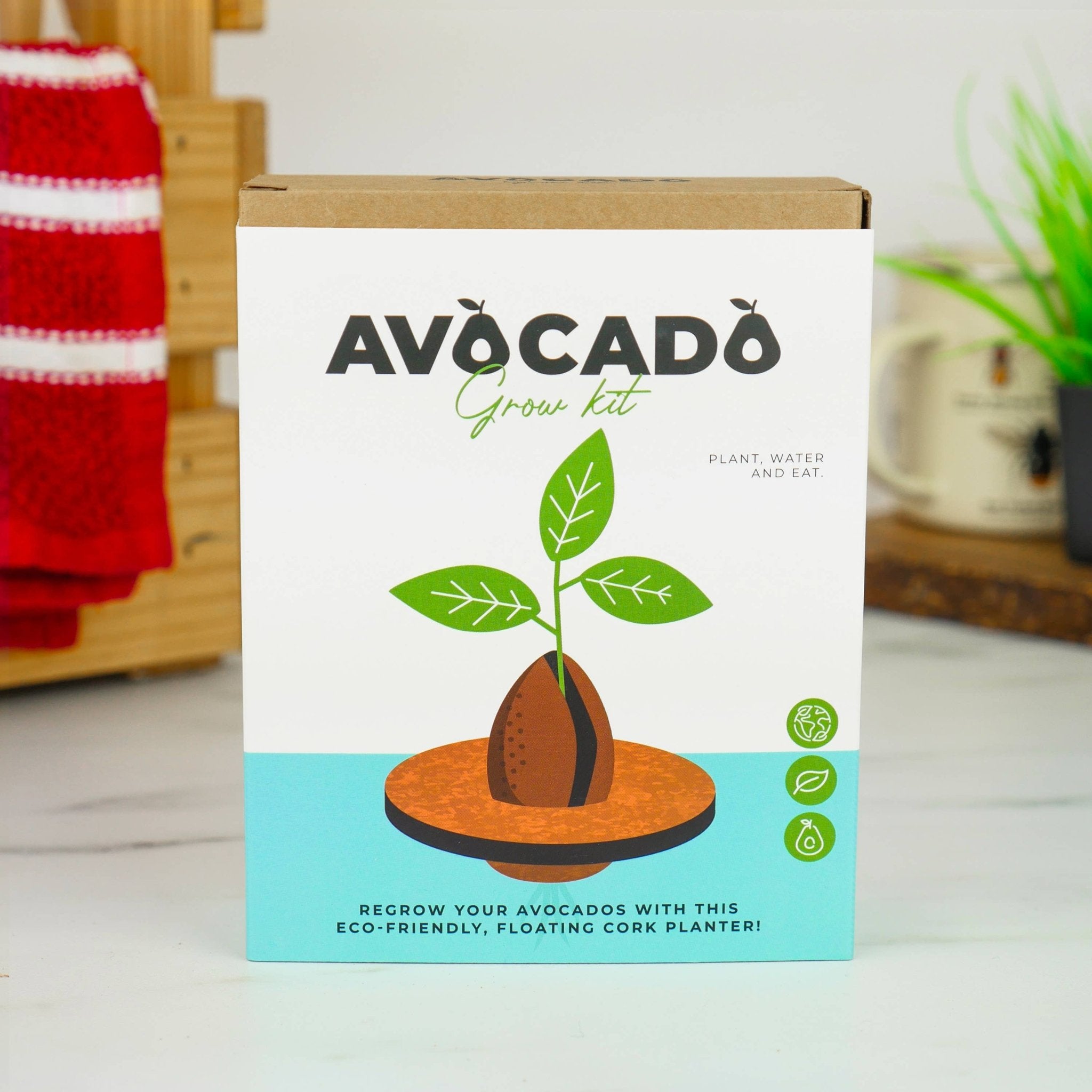 Avocado Grow Kit - Foxy’s
