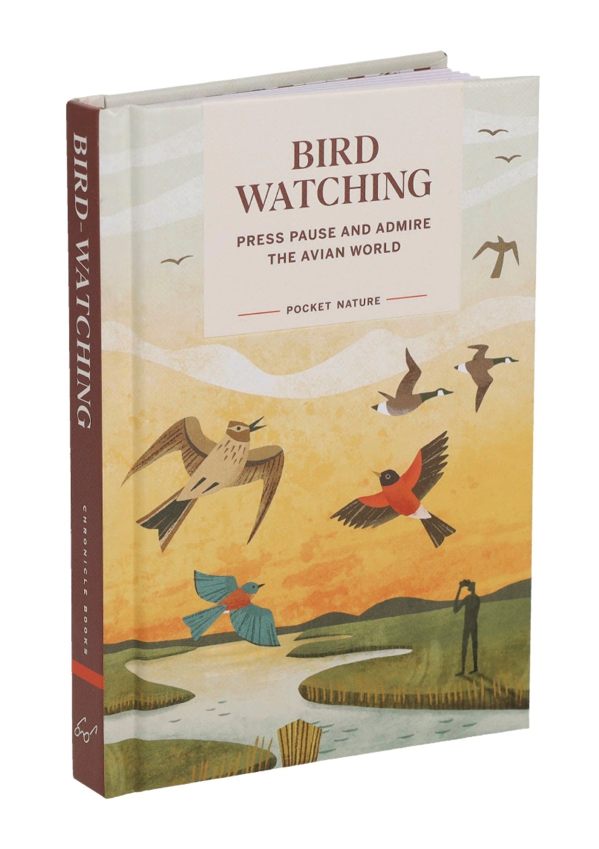 Pocket Nature: Bird - Watching Book - Foxy’s