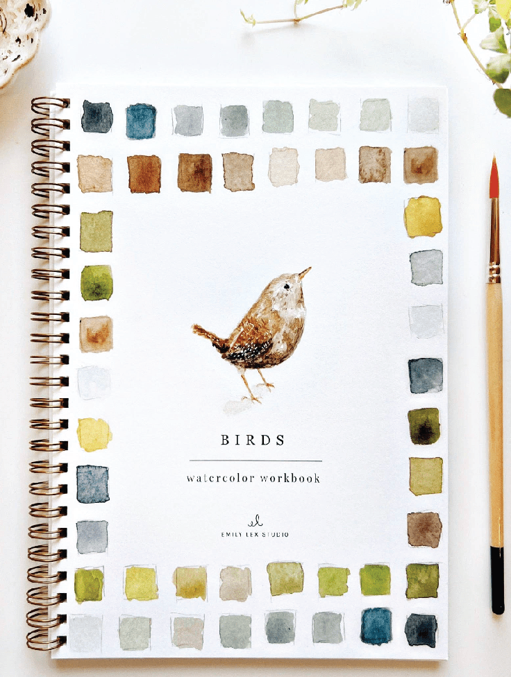 Birds watercolor workbook - Foxy’s