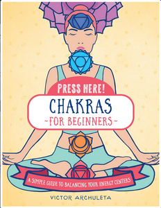 chakras for beginners book