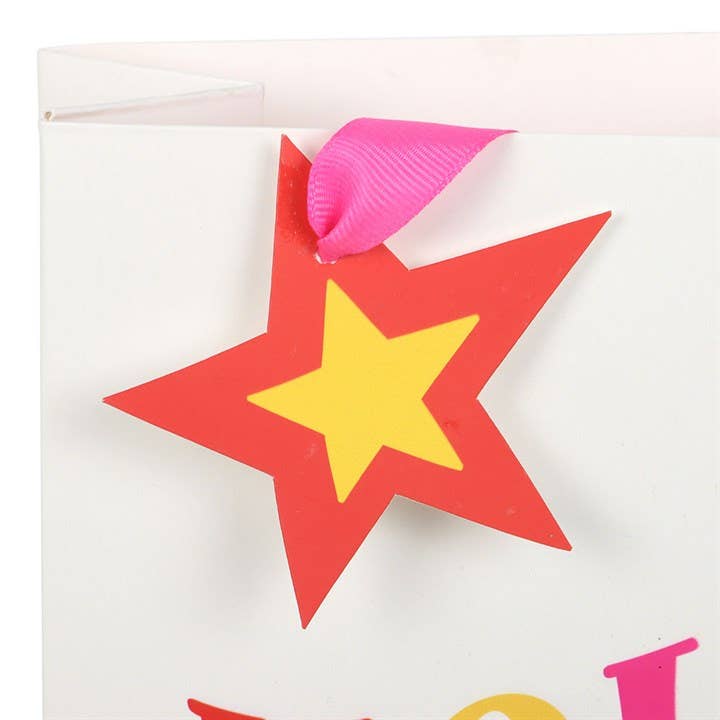 23cm Medium Holly Jolly Colorful Christmas Gift Bag - Foxy’s