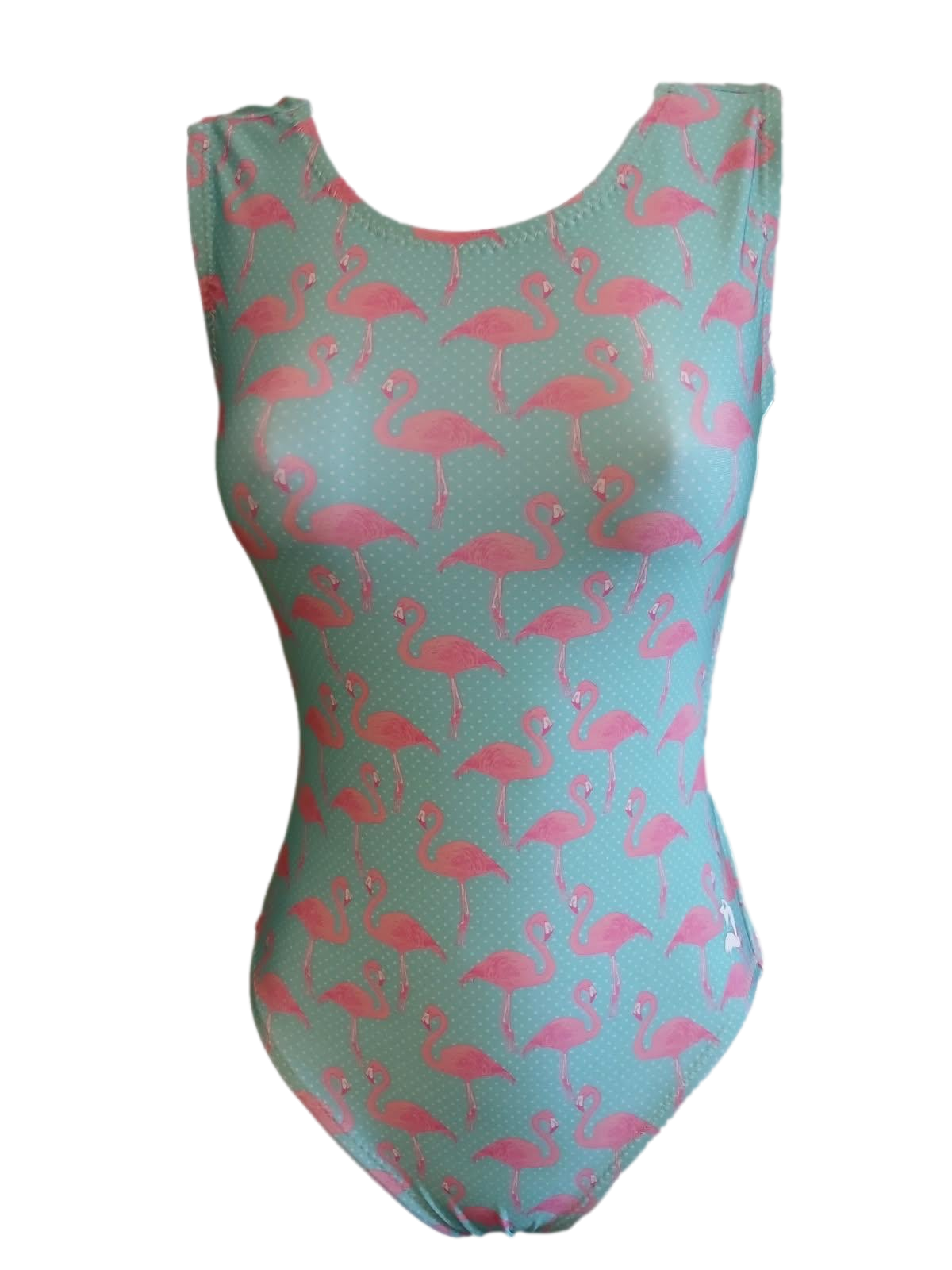 teal and pink flamingo leotard for girls