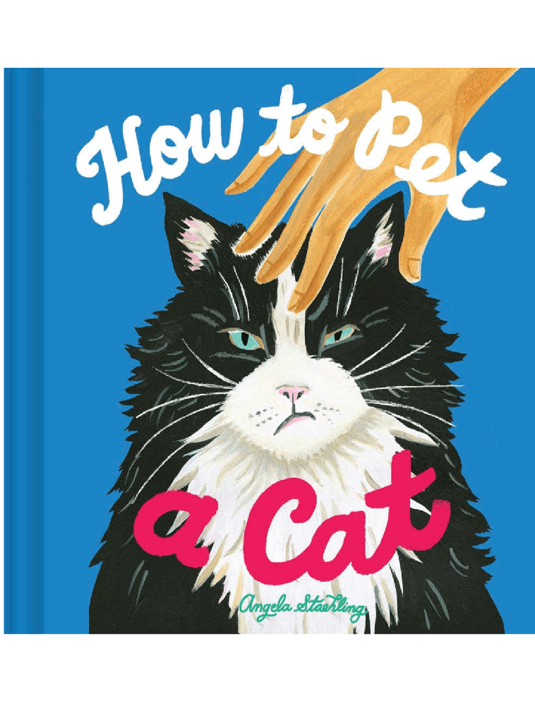 How to Pet a Cat: A Fun Guide for Kids & Adults | Foxy's - Foxy’s