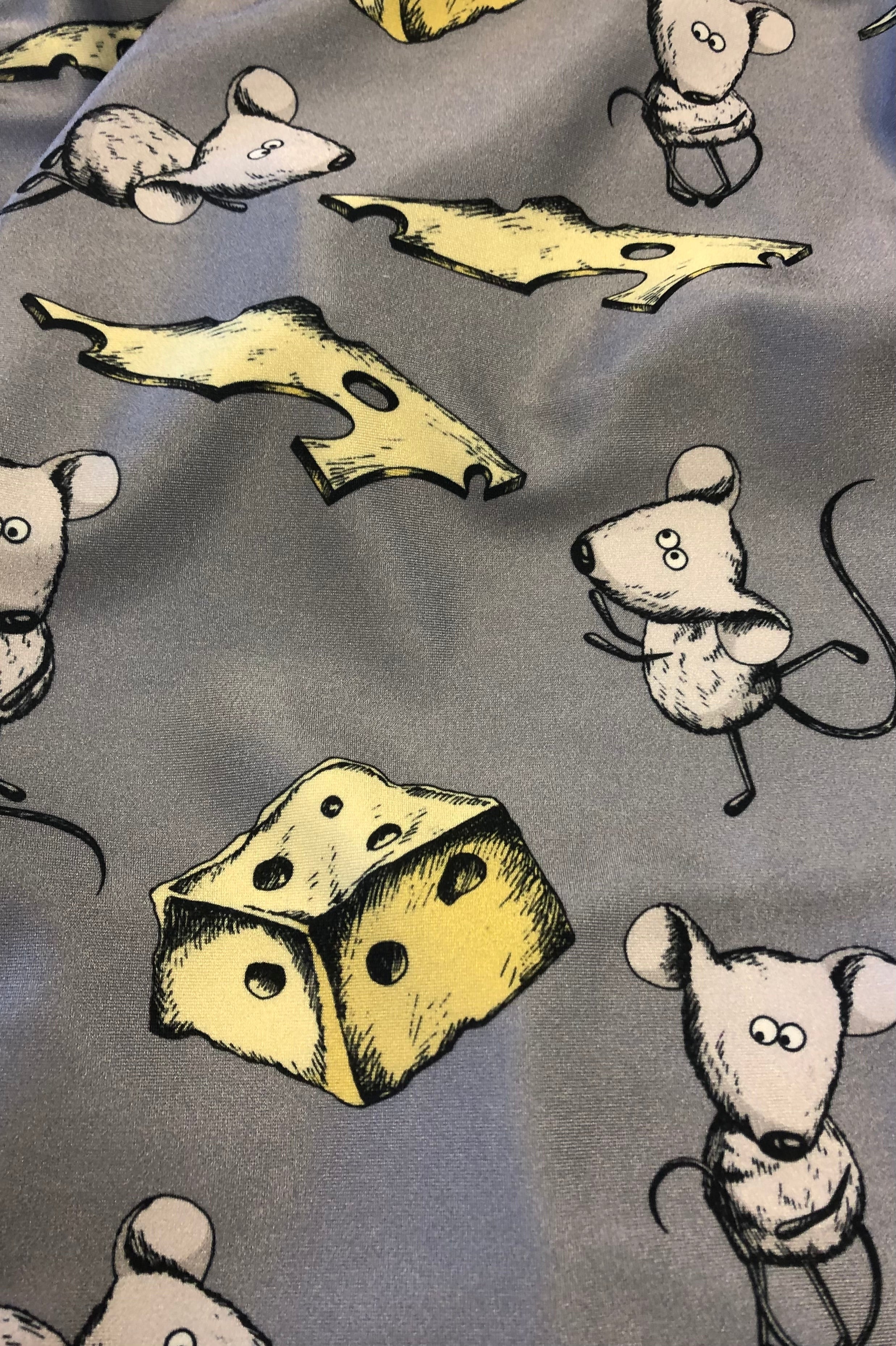 Rat and cheese leotards