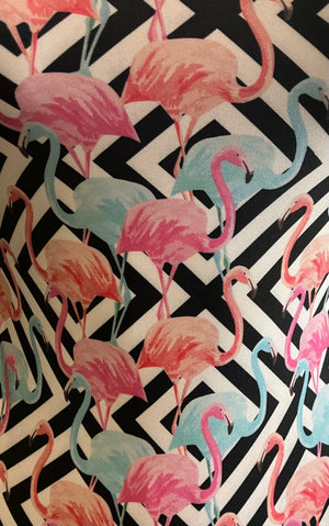 Flamingo Style Leotard