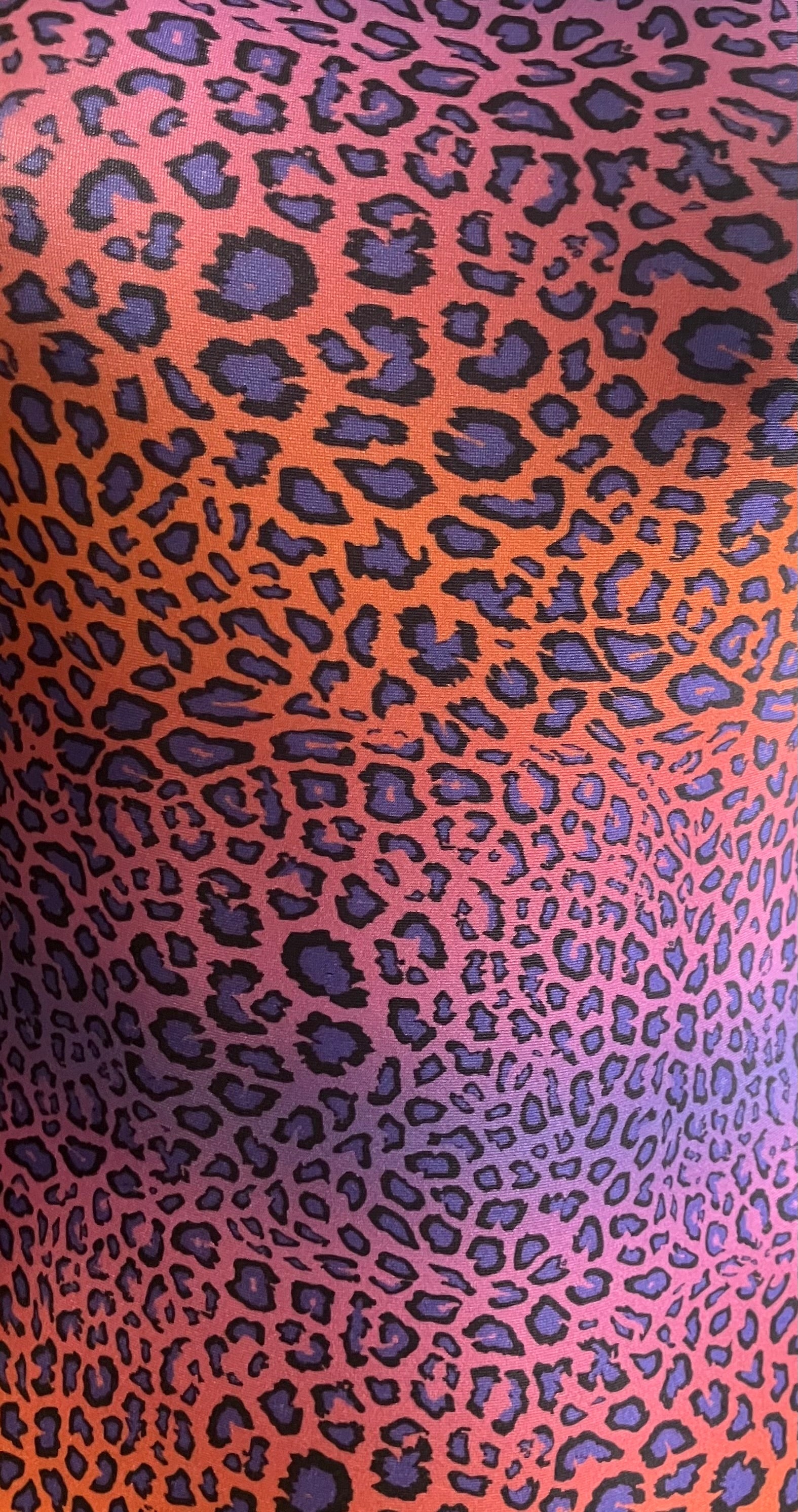 Ombre Leopard Leotard