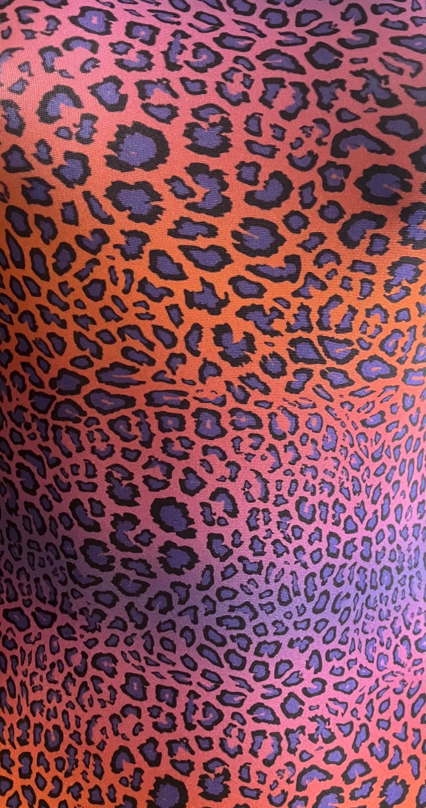 Ombre Leopard Leotard