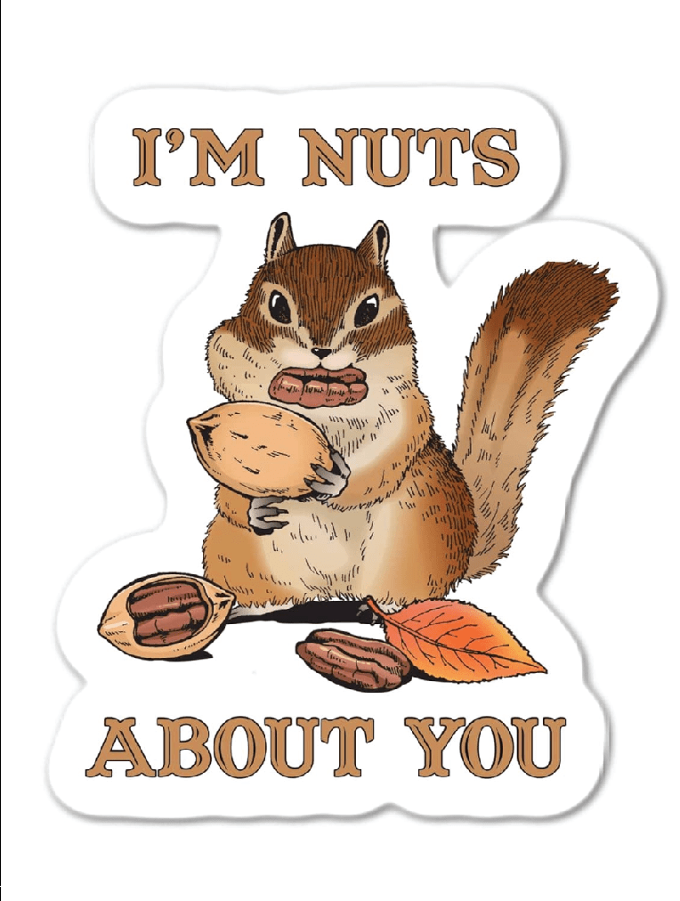 I'm Nuts About You Funny Squirrel Sticker - Foxy’s