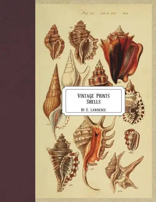 Vintage Prints: Shells - Paperback - Foxy’s