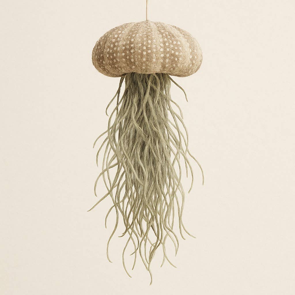 Decorative jellyfish-shaped air plant on a beige background