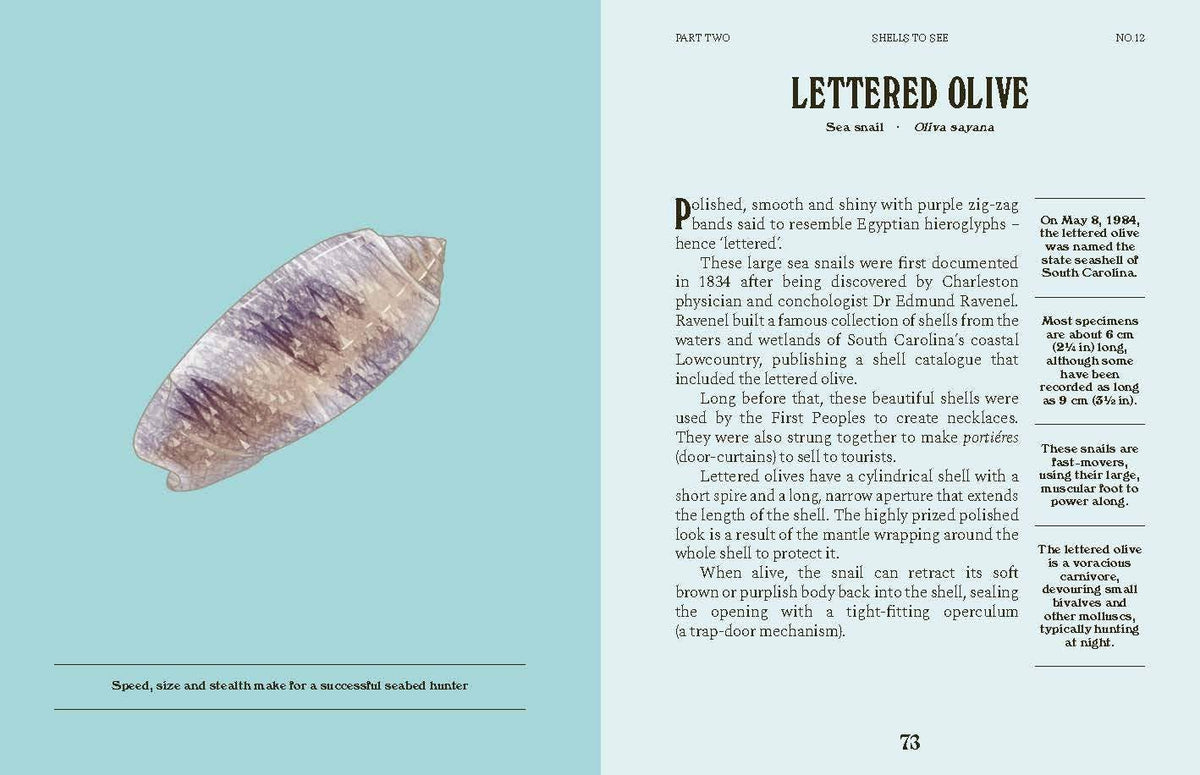 Shells Book - Foxy’s