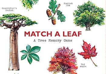 match a leaf game a tree memory game