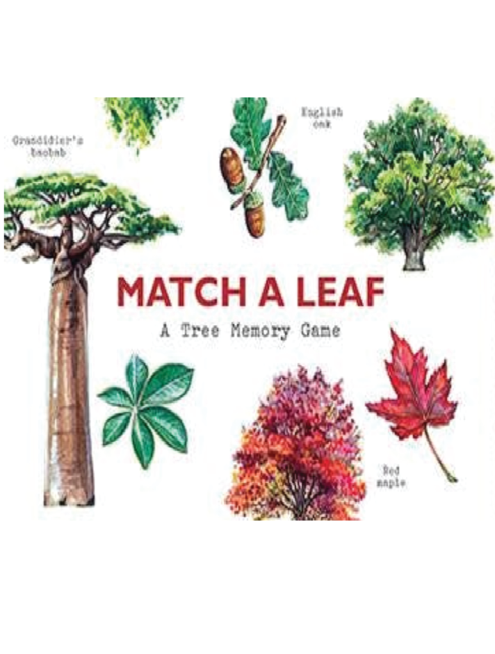 Match a Leaf Game - Foxy’s