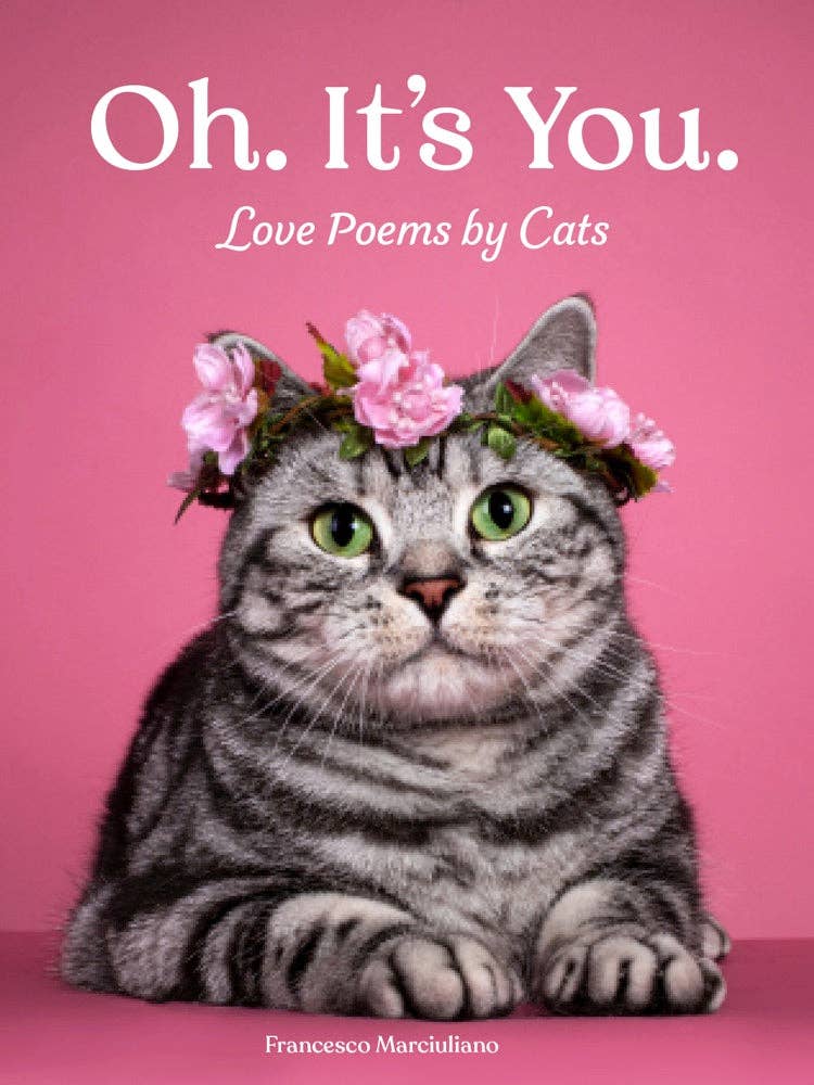 Oh. It's You. Book - Foxy’s