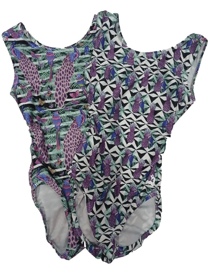 Pineapple Peacock Vice Versa Leotards for Besties (Which One Will You Choose?) - Foxy’s