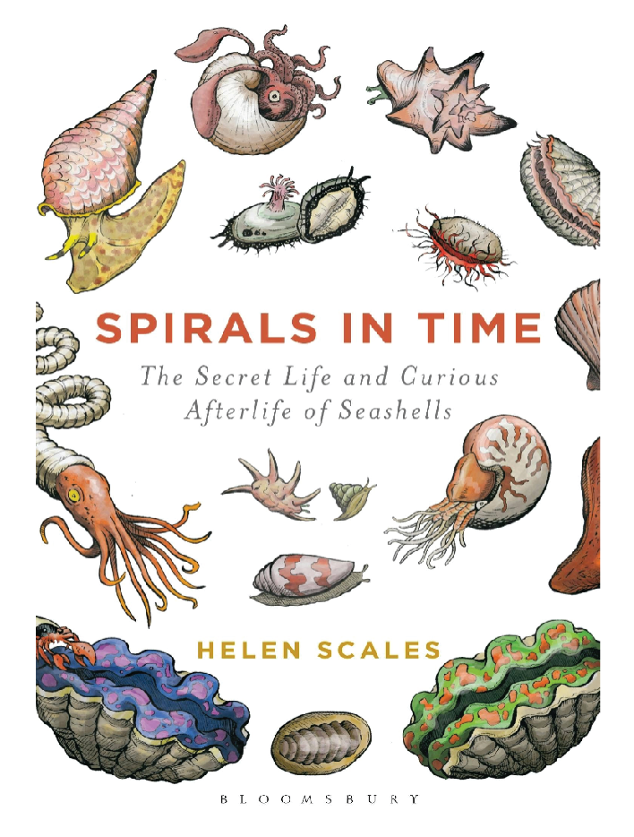 Spirals In Time: Secret & Curious Life Of Seashells - Foxy’s