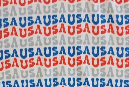 Blue USA Star Leotard