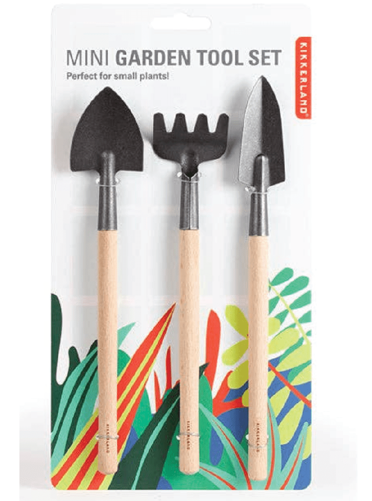 Mini Indoor Garden Tool Set - Rustic Beechwood & Stainless Steel - Foxy’s