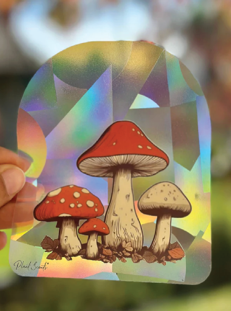 Mushroom Suncatcher Amanita Toadstool Decal Cottagecore - Foxy’s