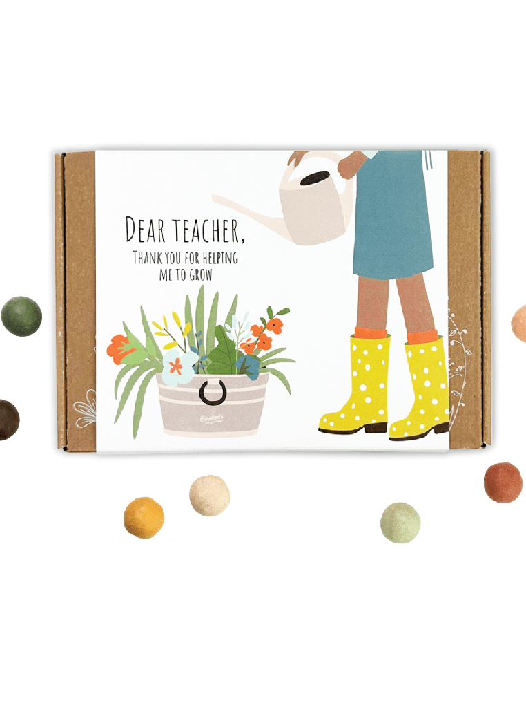 Small Dear Teacher Seed Bomb Box | Wildflower Balls | Gift - Foxy’s