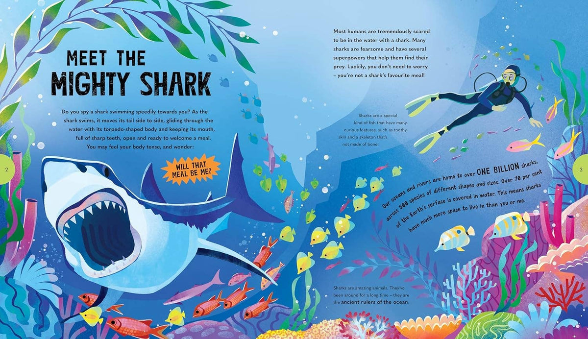 Illustrated book page about sharks with a shark, diver, and colorful underwater scene.