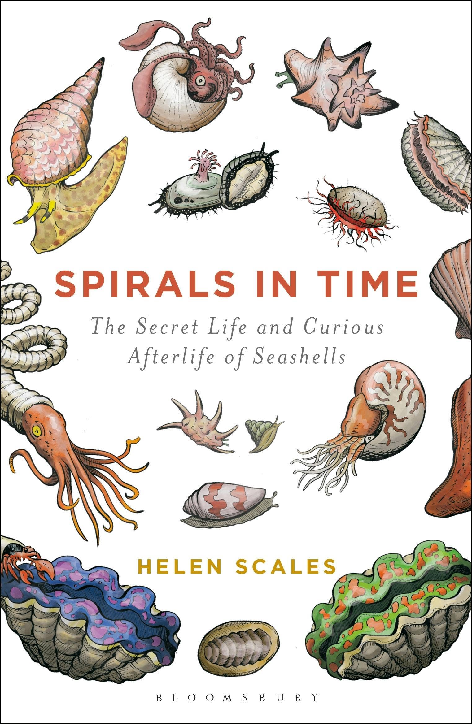 Book cover of 'Spirals in Time' with illustrations of seashells and text.