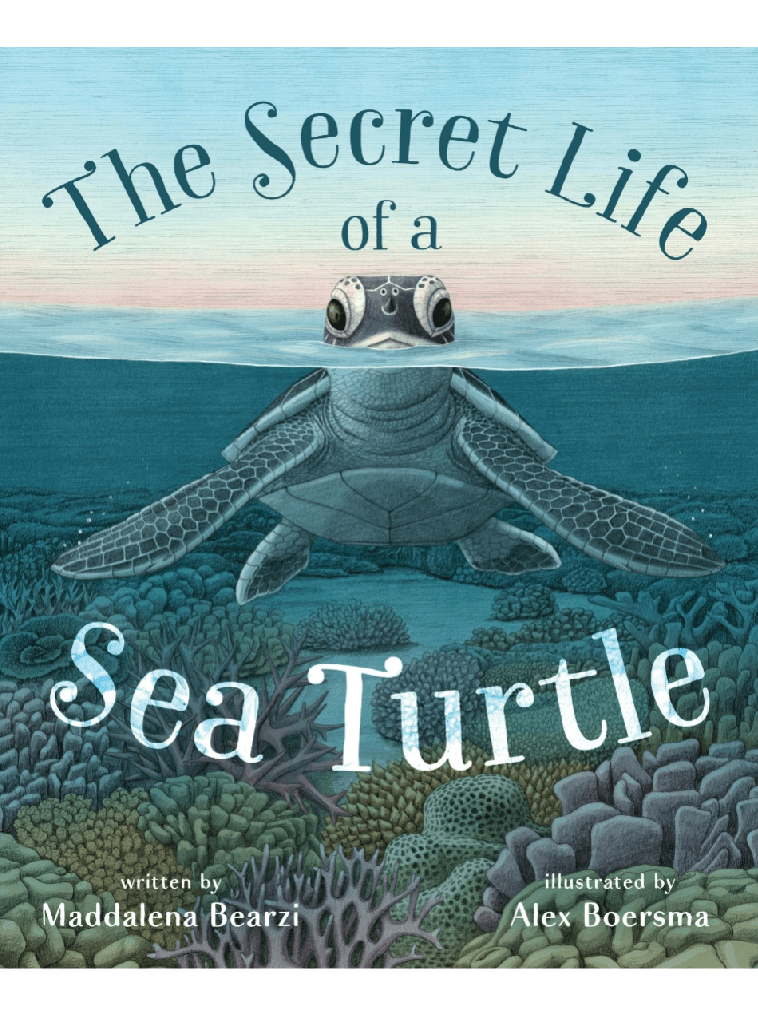 Secret Life Of A Sea Turtle: - Foxy’s