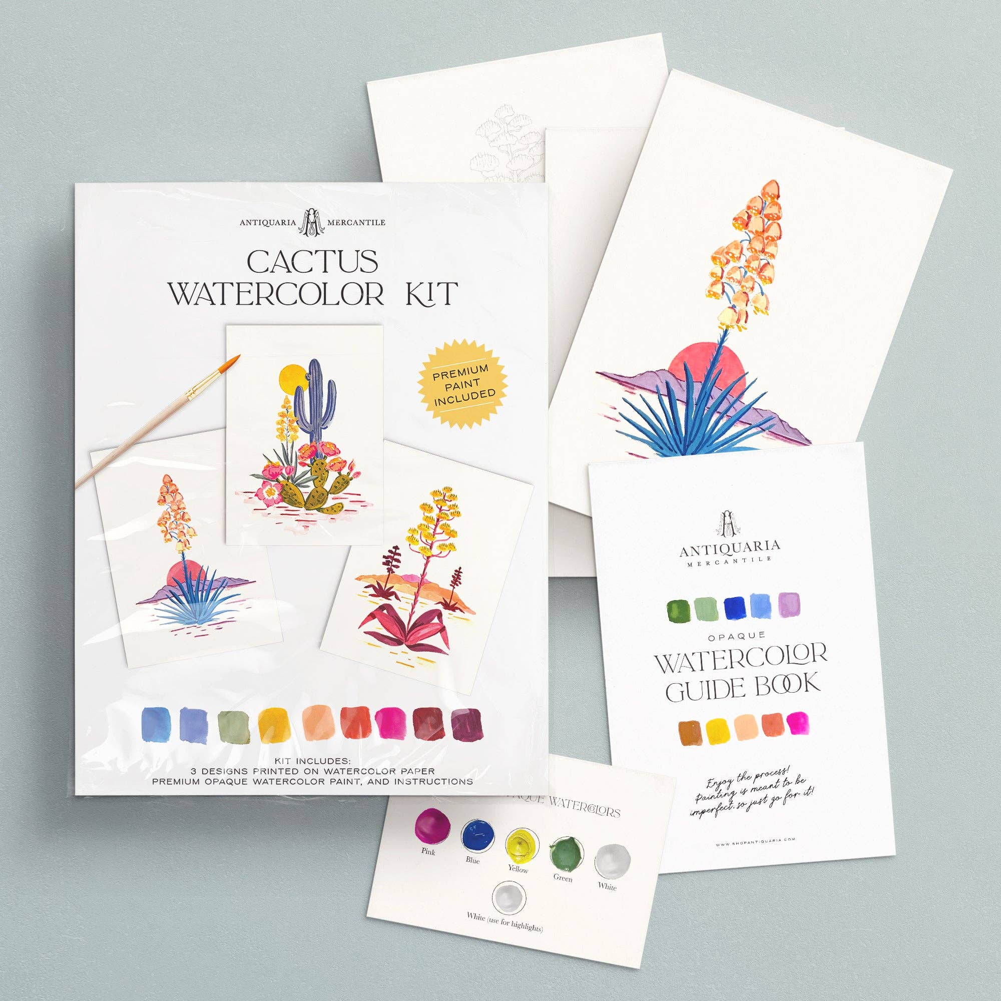 Watercolor Painting Kit: Cactus - Foxy’s