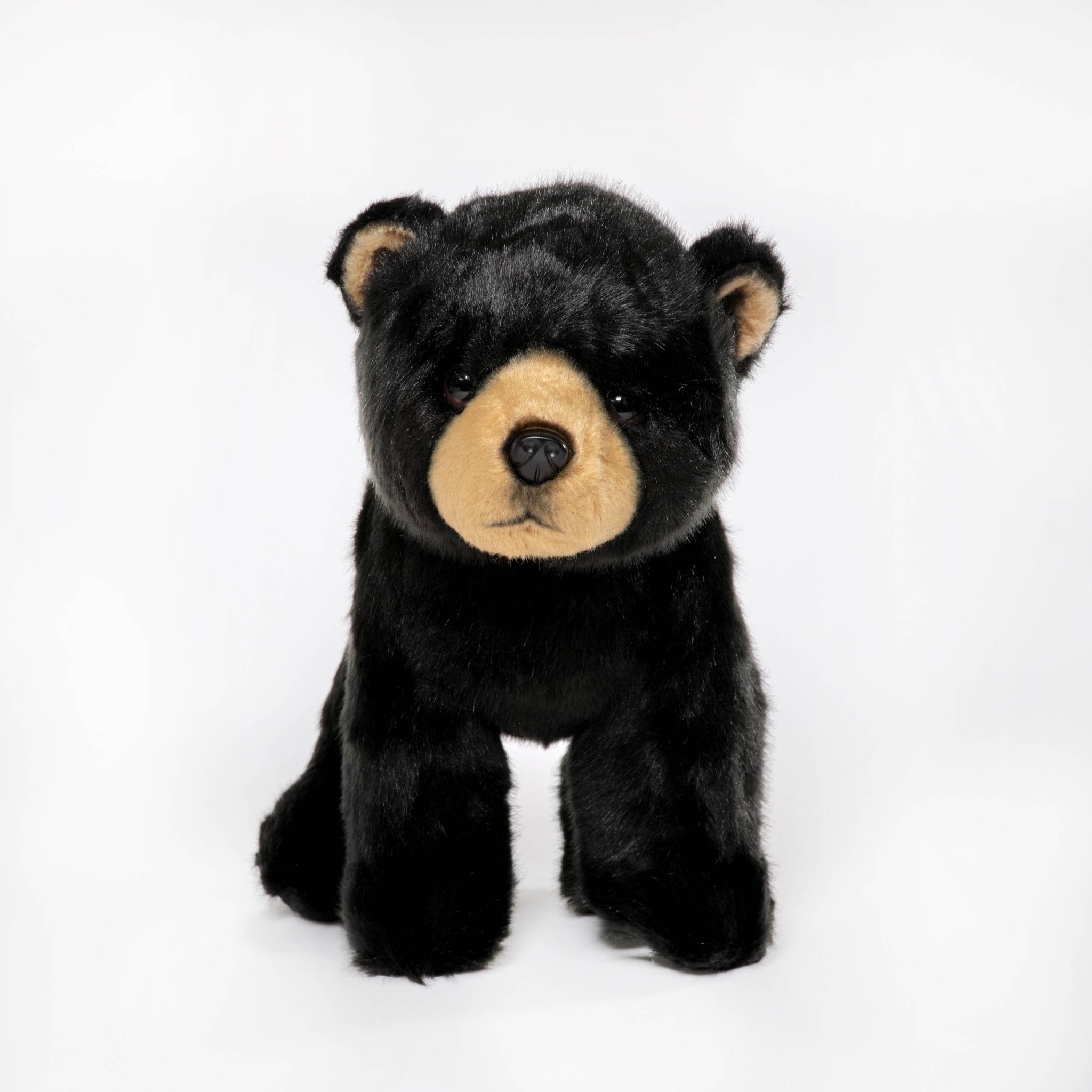 Asher the Black Bear | Plush Stuffed Animal - Foxy’s