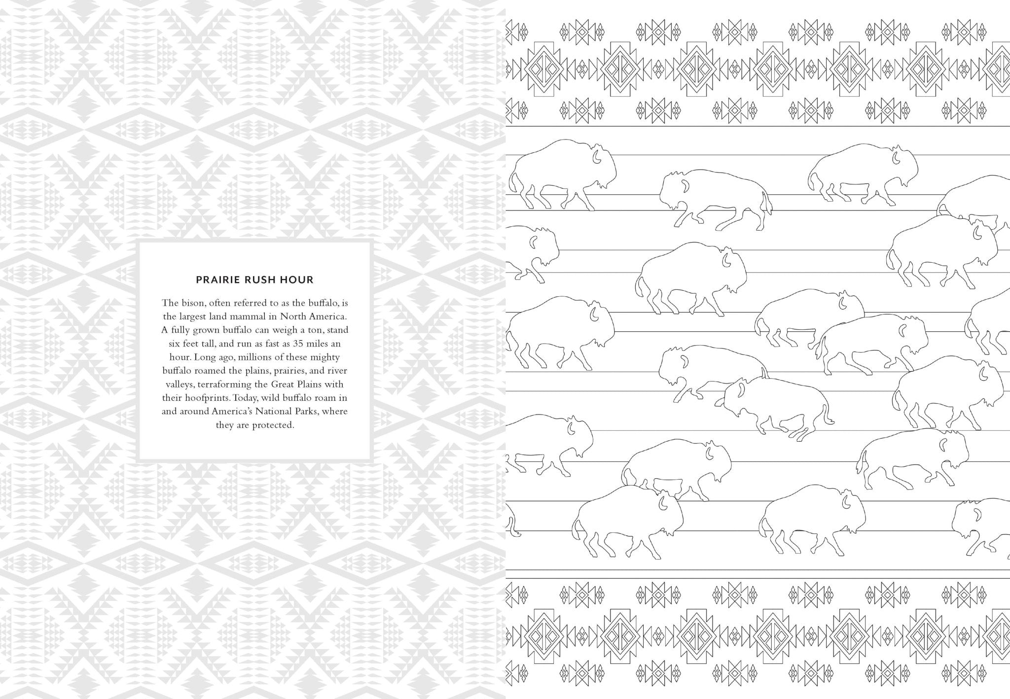 Pendleton Coloring Book - Foxy’s