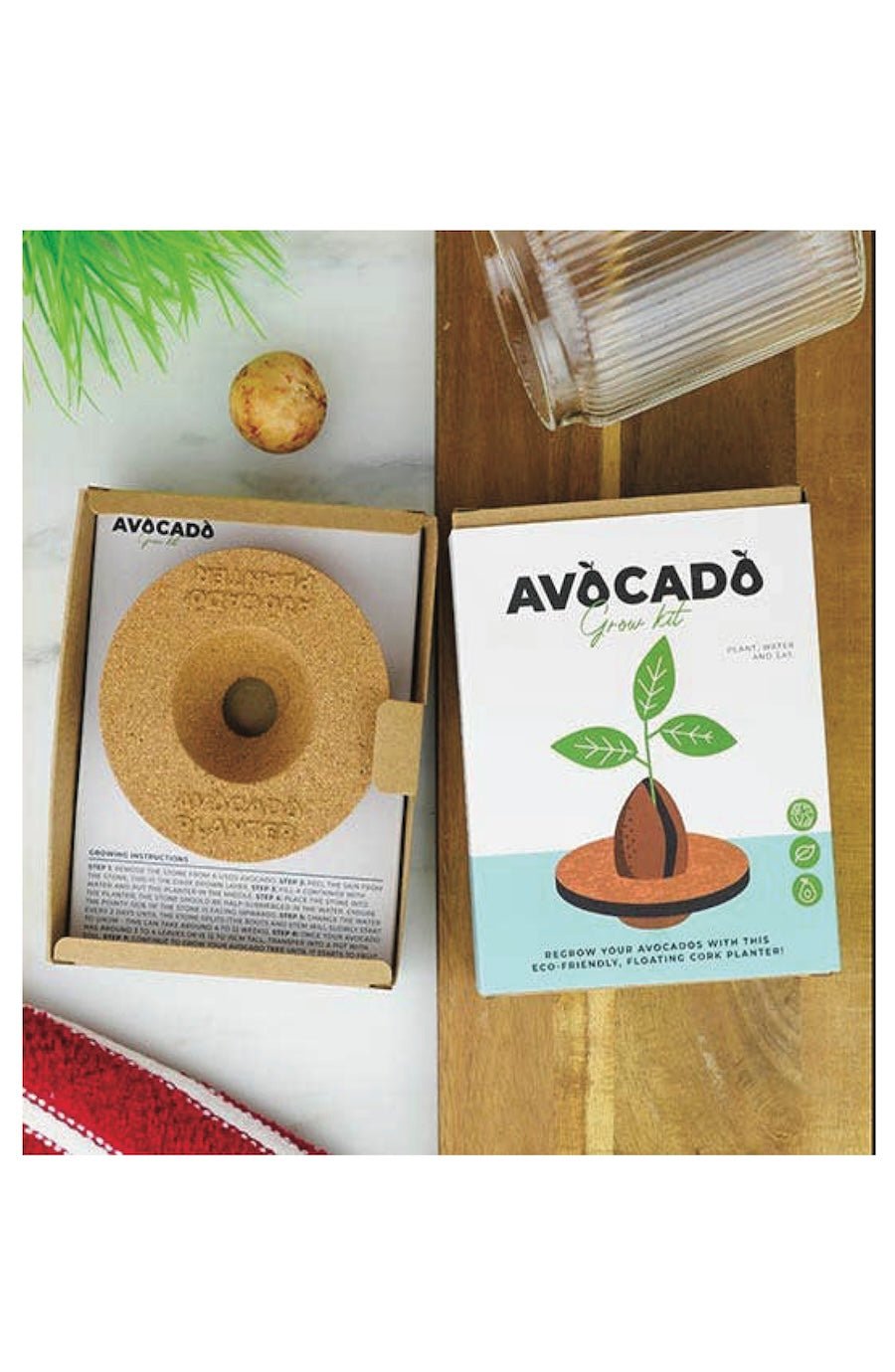 Avocado Grow Kit - Foxy’s