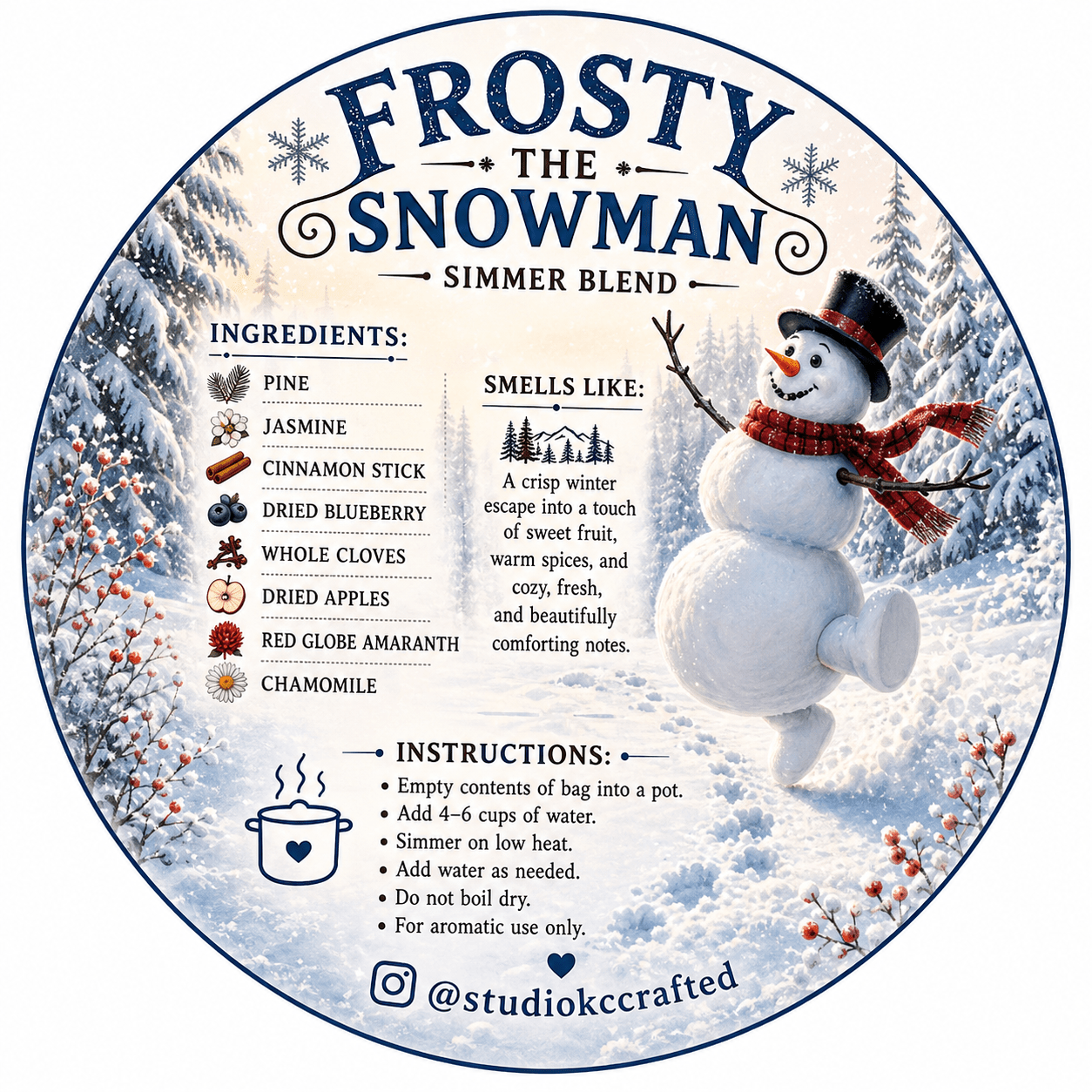 Frosty the Snowman Simmer Pot Kit, Winter Simmer Blend, Natural Holiday Home Fragrance, Christmas Gift, Hostess Gift, Stocking Stuffer - Foxy’s