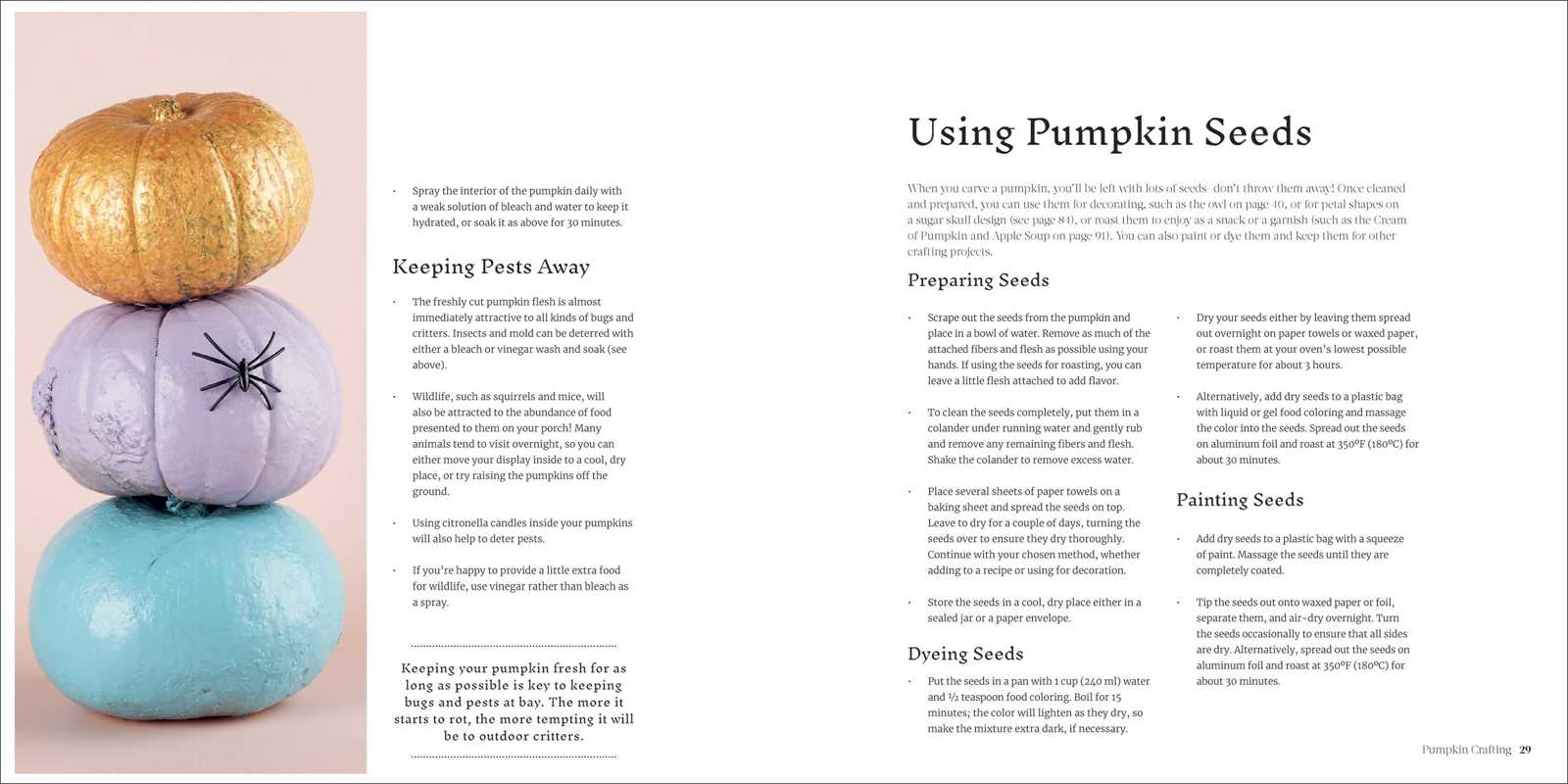 Book page with instructions on using pumpkin seeds featuring painted pumpkins.