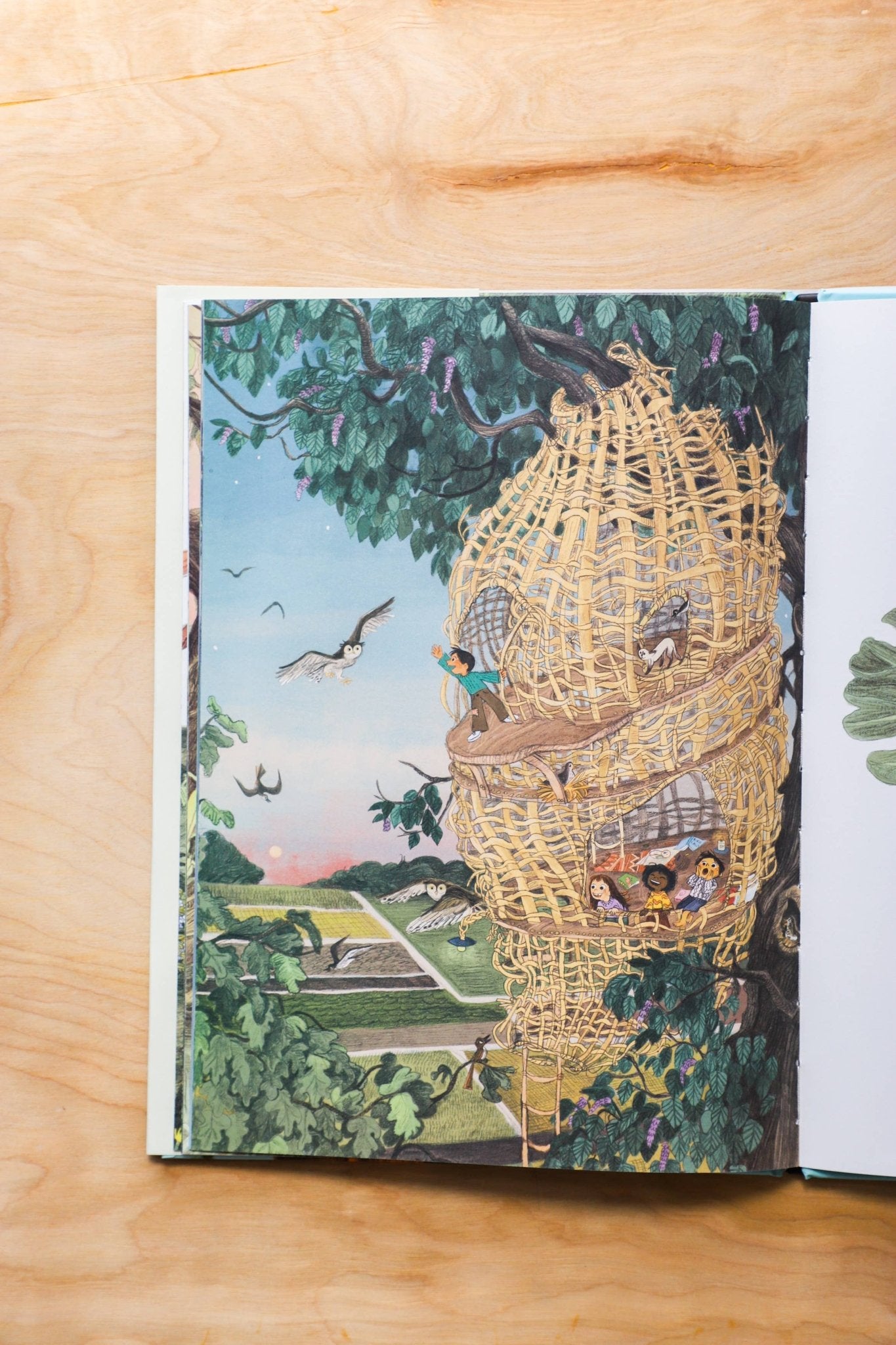 Everything You Need for a Treehouse - Foxy’s