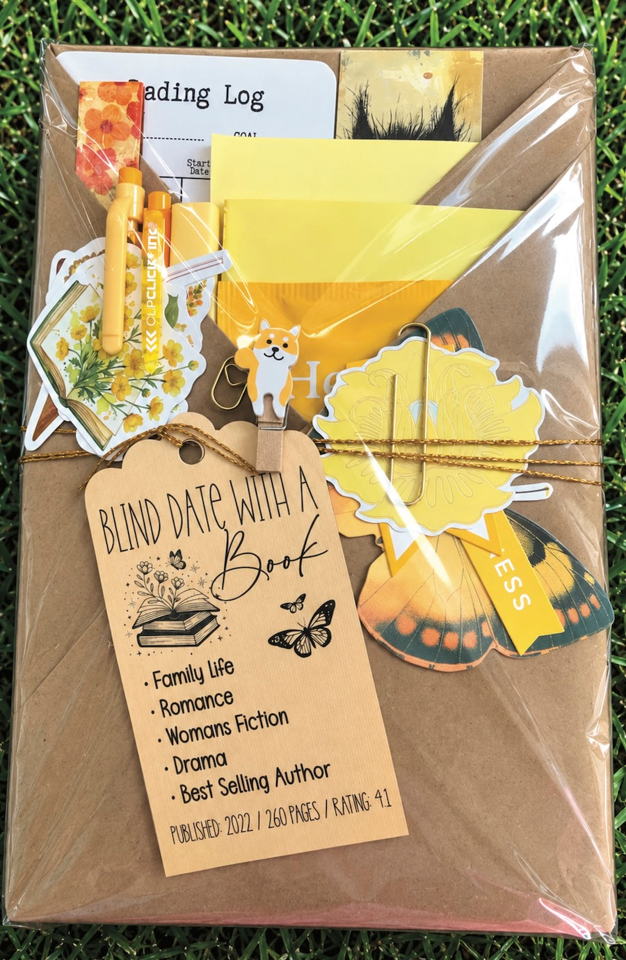 Blind Date with a Book