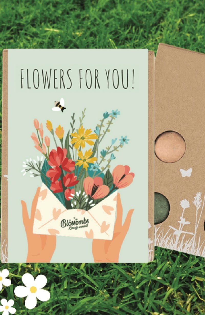 Blossombs Mini Seed Bomb Box - Flowers For You - Organic Wildflower Mix (4 Balls) - Foxy’s