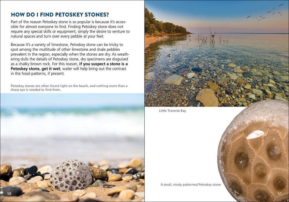 An informational brochure page about finding petrosky stones, featuring text, small landscape photos, and a large close-up photo of a round, patterned petrosky stone on the right.