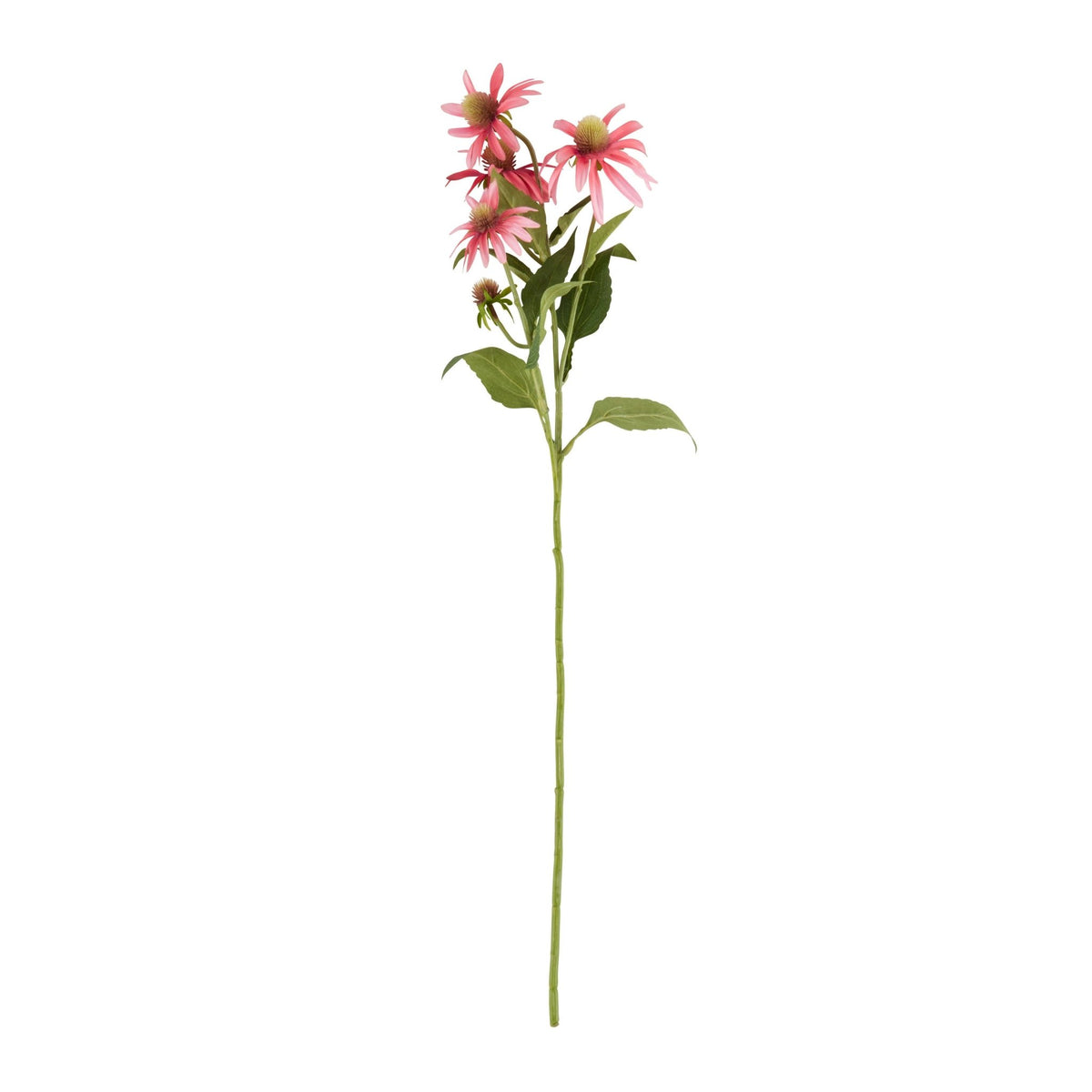 Coneflower Stem Floral Accent - Foxy’s