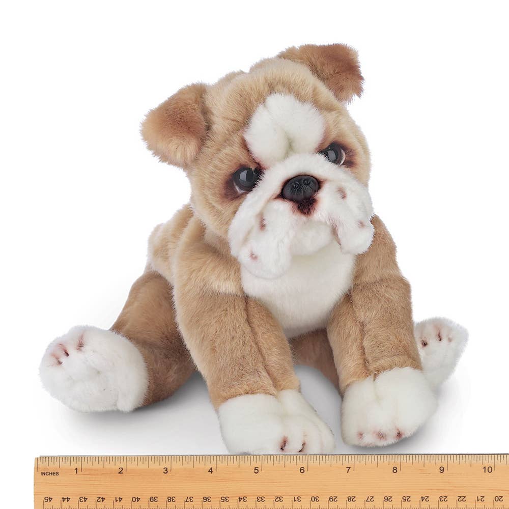 Tug the Bulldog Stuffed Animal - Foxy’s