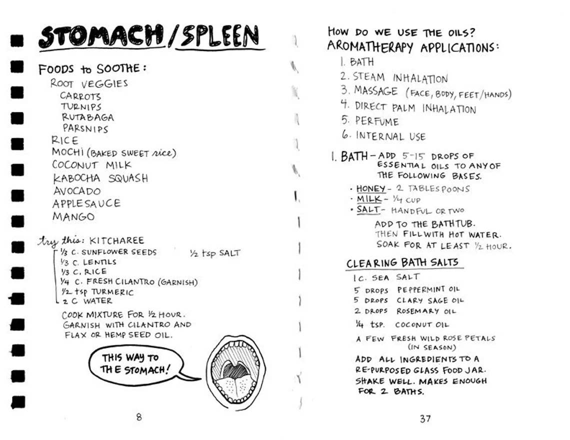 Healing Your Magical Body with Plants & Minerals (Zine) - Foxy’s