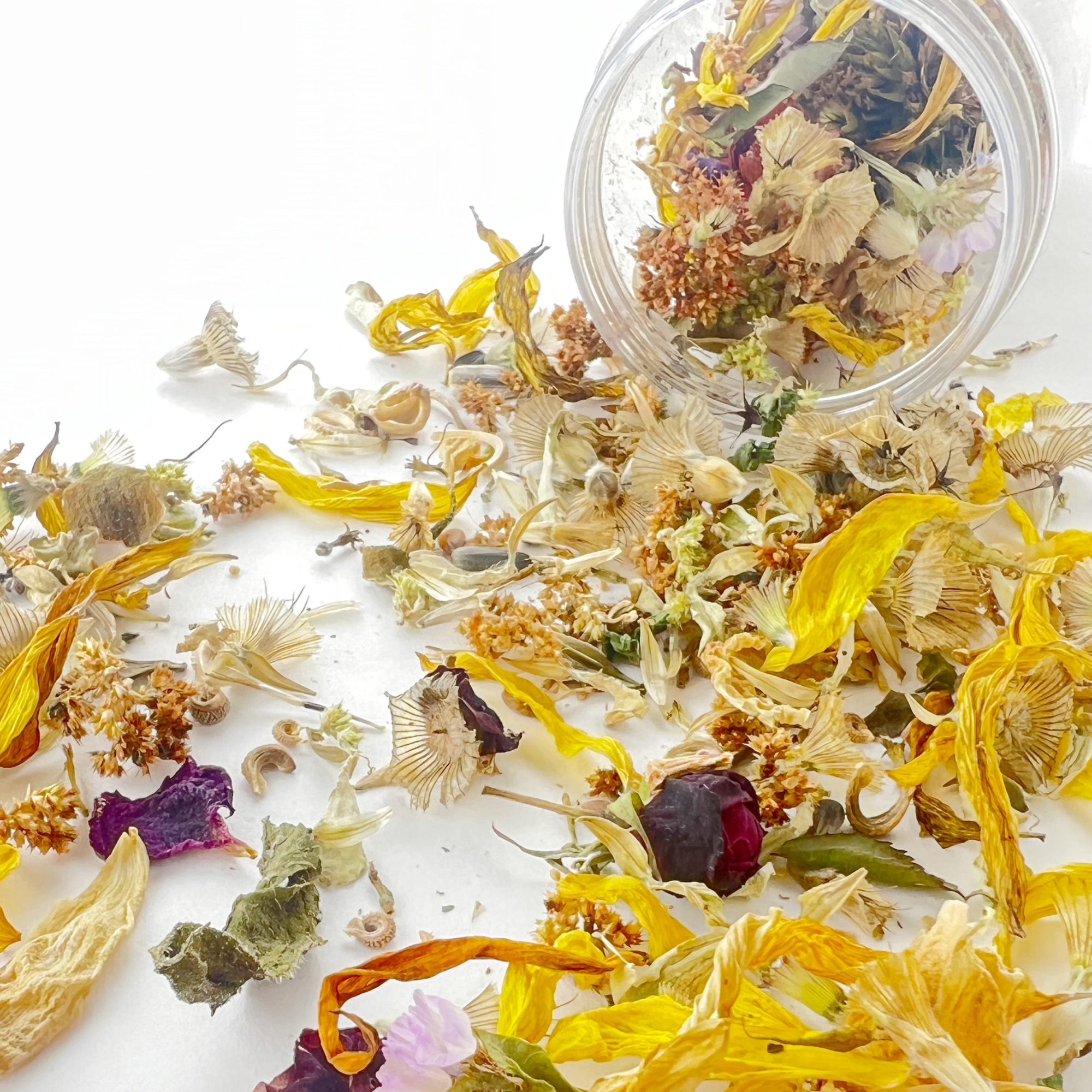 Wildflower Garden Confetti Sprinkles - Blooming Celebrations - Foxy’s