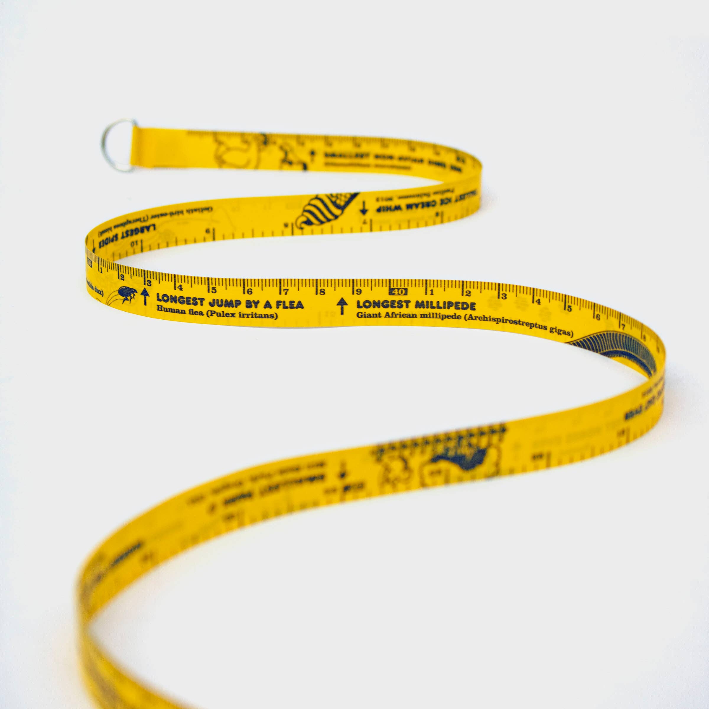 World Records Tape Measure - 10ft Guinness record facts - Foxy’s