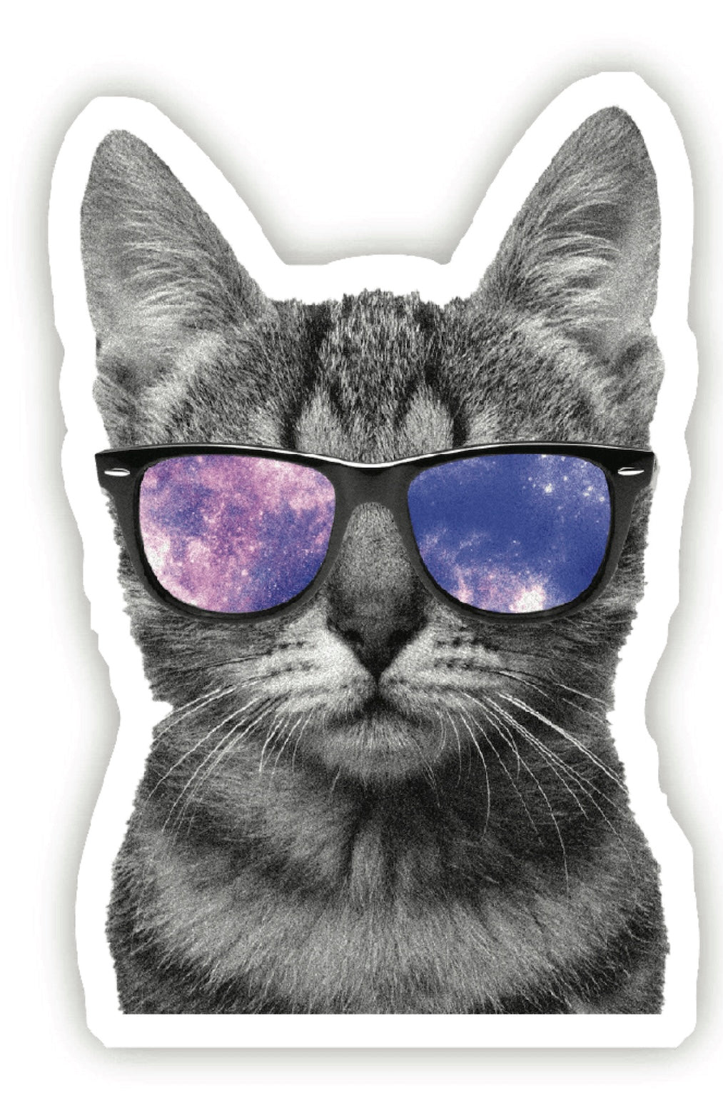 Cool Cat Sunglasses Sticker - Foxy’s