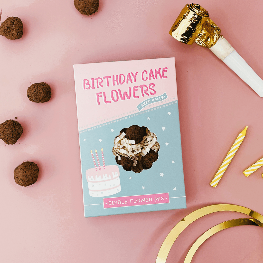 Birthday Cake Seed Ball Gift Box - Foxy’s