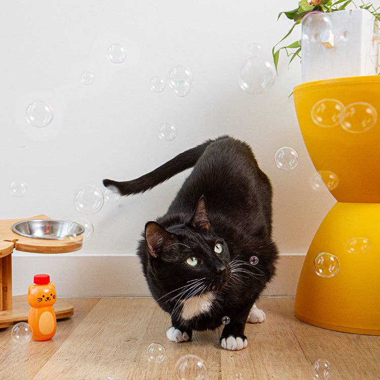 Kiko Catnip Bubbles - Foxy’s