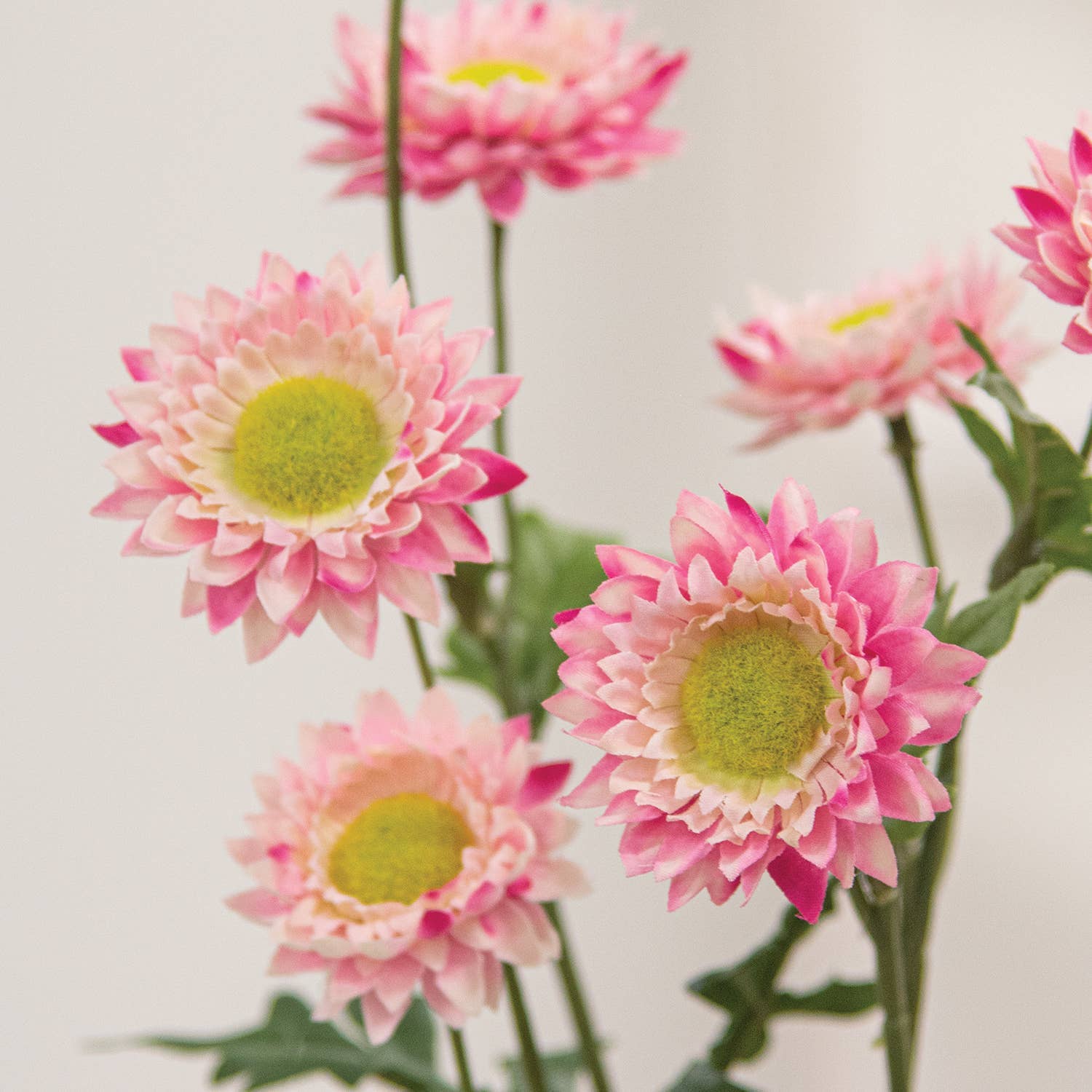 Faux Pink Strawflower Spray - 25" - Foxy’s