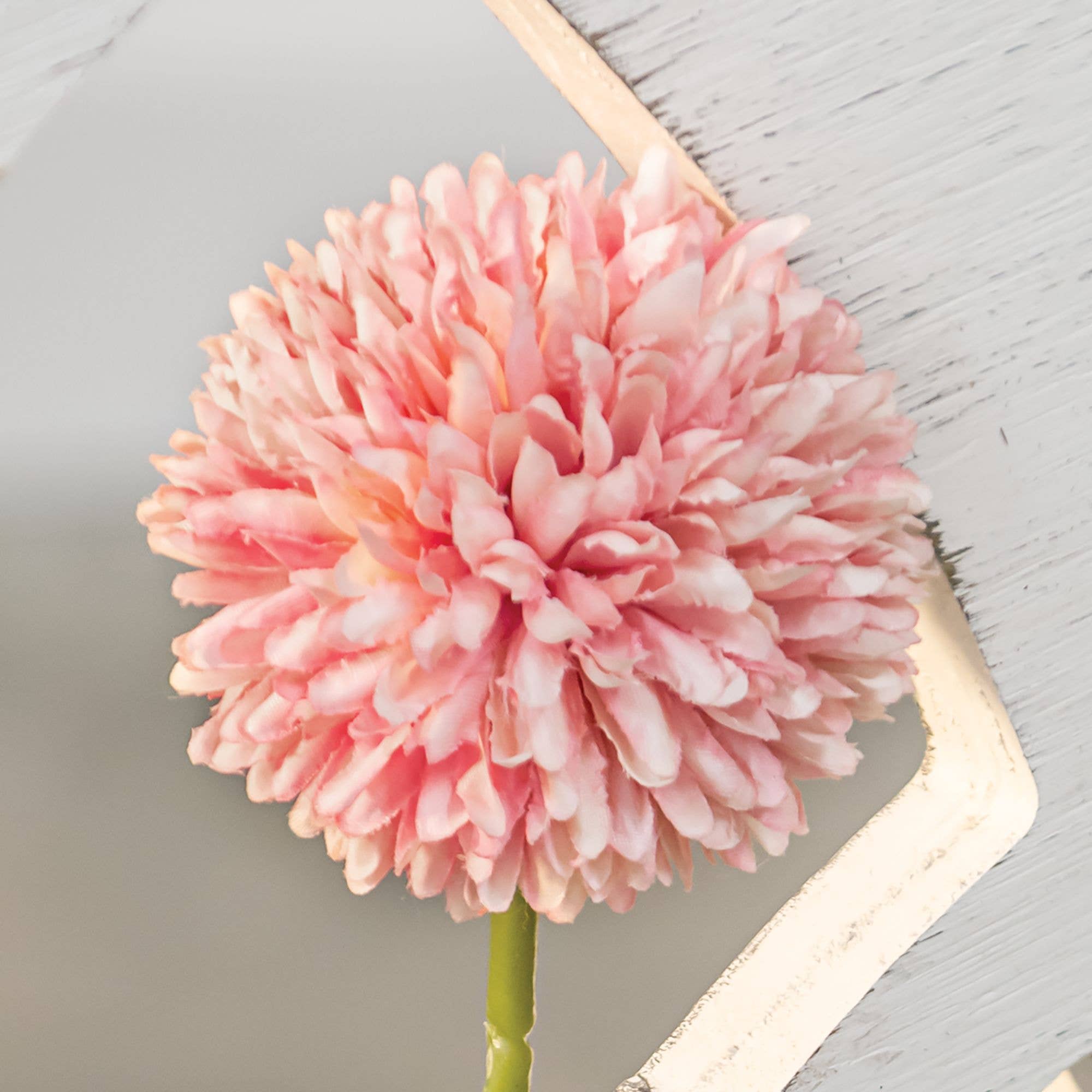 Faux Pompom Stem, Blush - Foxy’s